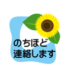 大きめ文字❤お花メッセージ ひまわり（個別スタンプ：31）