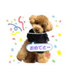 じゅりー＆ぷりんす（個別スタンプ：5）