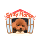 じゅりー＆ぷりんす（個別スタンプ：6）