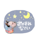 フレンチブル【犬・実写】よく使える★（個別スタンプ：2）