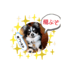rena_20200522230212（個別スタンプ：1）
