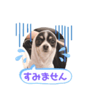 rena_20200522230212（個別スタンプ：9）