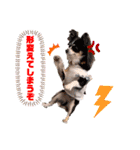 rena_20200522230212（個別スタンプ：10）