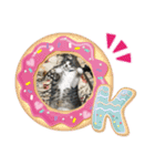 ウチのコ スタンプ ルド＆トラ3（個別スタンプ：10）