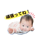 はーちゃん stamp（個別スタンプ：5）
