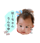 はーちゃん stamp（個別スタンプ：31）