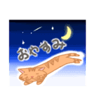 chatosan（個別スタンプ：8）