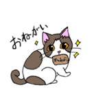 猫様と人間（個別スタンプ：2）