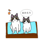 猫様と人間（個別スタンプ：3）
