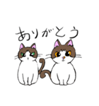 猫様と人間（個別スタンプ：8）