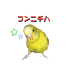 ビッケと愉快な仲間たちPART1（個別スタンプ：1）