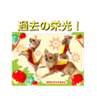 ビッケと愉快な仲間たちPART1（個別スタンプ：3）