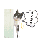 ビッケと愉快な仲間たちPART1（個別スタンプ：4）