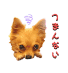 ビッケと愉快な仲間たちPART1（個別スタンプ：5）