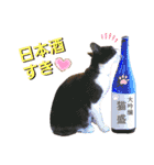 ビッケと愉快な仲間たちPART1（個別スタンプ：6）