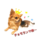 ビッケと愉快な仲間たちPART1（個別スタンプ：7）
