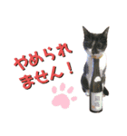 ビッケと愉快な仲間たちPART1（個別スタンプ：9）