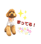 ビッケと愉快な仲間たちPART1（個別スタンプ：13）