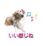 ビッケと愉快な仲間たちPART1（個別スタンプ：16）