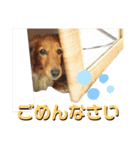 ビッケと愉快な仲間たちPART1（個別スタンプ：17）