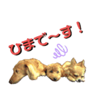ビッケと愉快な仲間たちPART1（個別スタンプ：18）