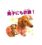 ビッケと愉快な仲間たちPART1（個別スタンプ：19）