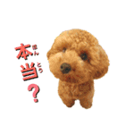 ビッケと愉快な仲間たちPART1（個別スタンプ：21）