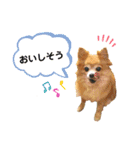 ビッケと愉快な仲間たちPART1（個別スタンプ：22）