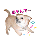 ビッケと愉快な仲間たちPART1（個別スタンプ：28）