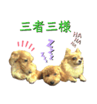 ビッケと愉快な仲間たちPART1（個別スタンプ：30）