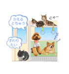 ビッケと愉快な仲間たちPART3（個別スタンプ：1）