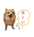 ビッケと愉快な仲間たちPART3（個別スタンプ：2）