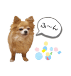 ビッケと愉快な仲間たちPART3（個別スタンプ：3）