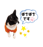 ビッケと愉快な仲間たちPART3（個別スタンプ：5）
