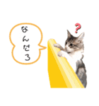 ビッケと愉快な仲間たちPART3（個別スタンプ：6）
