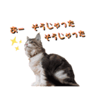 ビッケと愉快な仲間たちPART3（個別スタンプ：8）