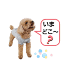 ビッケと愉快な仲間たちPART3（個別スタンプ：9）