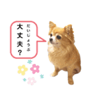 ビッケと愉快な仲間たちPART3（個別スタンプ：10）