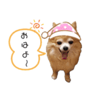 ビッケと愉快な仲間たちPART3（個別スタンプ：13）