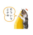 ビッケと愉快な仲間たちPART3（個別スタンプ：14）