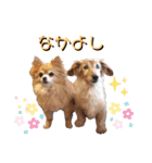 ビッケと愉快な仲間たちPART3（個別スタンプ：17）