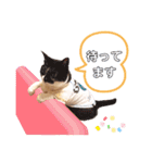 ビッケと愉快な仲間たちPART3（個別スタンプ：20）