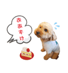 ビッケと愉快な仲間たちPART3（個別スタンプ：21）