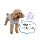 ビッケと愉快な仲間たちPART3（個別スタンプ：23）