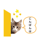ビッケと愉快な仲間たちPART3（個別スタンプ：33）