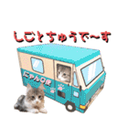 ビッケと愉快な仲間たちPART3（個別スタンプ：35）