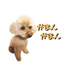 ビッケと愉快な仲間たちPART3（個別スタンプ：37）