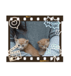 可愛いドッグ＆キャット（個別スタンプ：23）