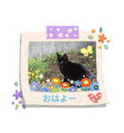 可愛いドッグ＆キャット（個別スタンプ：30）