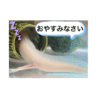 ウパ子の日常スタンプ編（個別スタンプ：4）